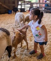 LA County Fair