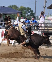 Medina County Fair