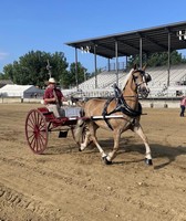 Medina County Fair