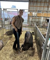 Mercer County Fair