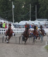 Henry County Fair