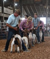 Miami County Fair