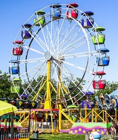 Allen County Fair