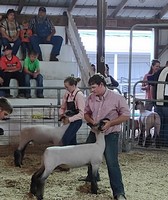 Noble County Fair