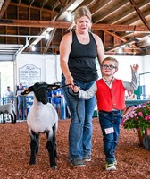 Hancock County Fair
