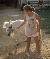 Fulton County Fair