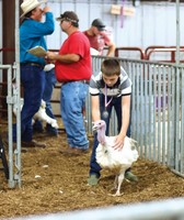 Washington County Fair