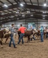 Washington County Fair