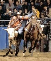 Wayne County Fair