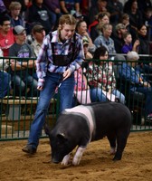 Tuscarawas County Fair