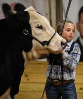 Tuscarawas County Fair