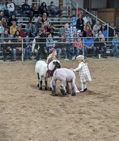 Fairfield County Fair