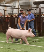 Canadian County Free Fair