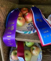 Custer County Fair