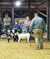 Lee County Fair