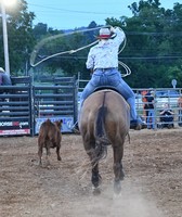 Berks County Fair