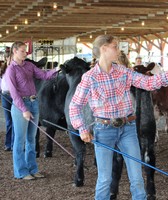 Berks County Fair