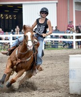 Lycoming County Fair