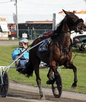 Lycoming County Fair