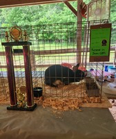 Mercer County Grange Fair