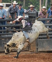 Bedford County Fair