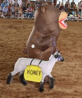 Bedford County Fair