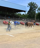 Clarion County Fair