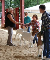 Clarion County Fair