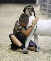Fayette County Fair