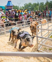 Wayne County Fair