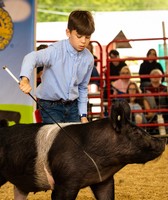 Wayne County Fair