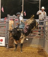 Warren County Fair