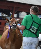 Warren County Fair