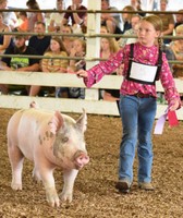 Centre County Grange Fair