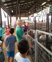 Indiana County Fair