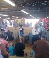 Indiana County Fair