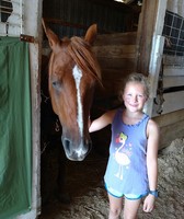 Erie County Fair