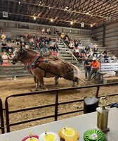 Sullivan County Fair