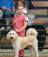 White County 4-H Fair