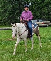 Blackford County 4-H Fair