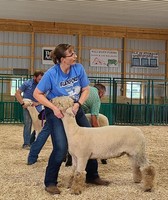 Blackford County 4-H Fair