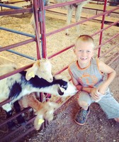 South St. Louis County Fair