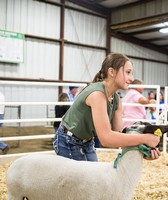 Clark County 4-H Fair