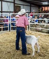 Clark County 4-H Fair