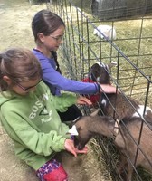 Farmington Fair