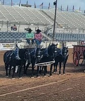 Box Elder County Fair