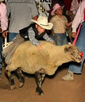 Box Elder County Fair