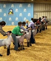 Gwinnett County Fair