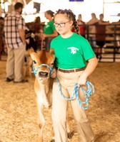 Madison County Fair