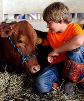 Prince William County Fair